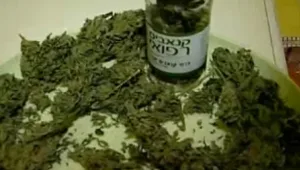 עד 25 גרם קנאביס, לא עבירה פלילית