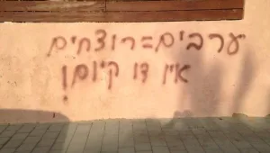 צעירה ערביה מיפו: אני מפחדת להסתובב ברחוב