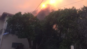 גל השריפות: נבדק חשד כי מדובר בהצתות מכוונות