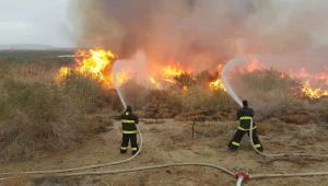 מזג אוויר סוער בדרום: ברק פגע במוקש - וגרם לשריפה בשדה קוצים בנגב