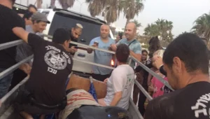 חוף מבטחים: דולפין פצוע חולץ על ידי המתרחצים בעכו