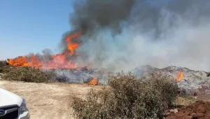 גל שריפות ברחבי הארץ: נסגר קטע בכביש 2 לדרום