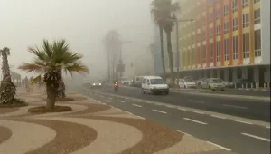 בגלל ערפל: שדה דב נסגר, הטיסות הועברו לנתב"ג
