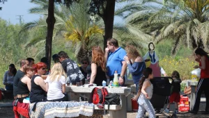 חוצה ישראל: מפת העומסים בכבישים ובגנים הלאומיים