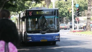 אוטובוס שעצר על מעבר חציה - עילה לתביעה?