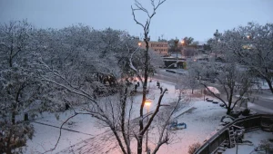 מדינה בסערה: שלג בצפון, י-ם והדרום; לימודים בוטלו וכבישים נסגרו