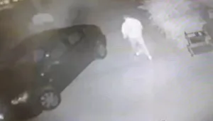 הצינור 30.09.15