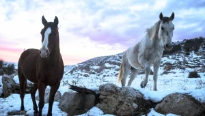 המדריך המלא לטיול שאחרי הסערה