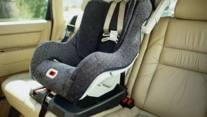 האם נמצא הפתרון להורים שמפחדים לשכוח את ילדיהם ברכב?