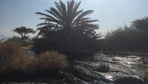 דליפת הנפט בדרום: תושבי אילת תובעים 380 מיליון ש"ח מקצא"א