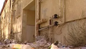 דיור ציבורי: אם בהריון, נכה צה"ל ו-3 ילדיהם פונו בכוח