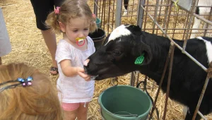 ארץ זבת חלב: אירועי שבועות לכל משפחה