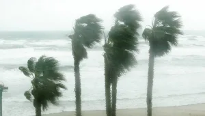 הישרדות: בשל התנאים עושים רילוקיישן