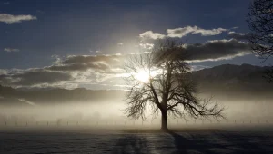 התגלית הישראלית שמעוררת סערה בעולם: "אלוהים שלח אותי אליכם"
