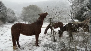 כביש 1 נפתח מהיציאה מירושלים; המפכ"ל: "אנחנו עמוק במערכה"