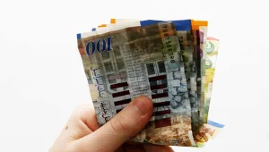 המעלימים יודו וייצאו בזול