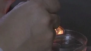 חיים בריא: מה קורה בחדר תרומות הזרע?