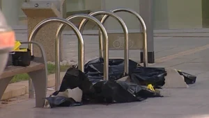 צינור לילה 22.09.13