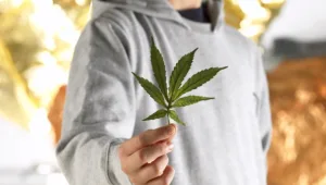 קנאביס מייד אין יזראל: כך משתלטים הישראלים על שוק הגראס בארה"ב