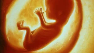 בלי הפתעות: הבדיקה שתראה לכם את העובר מקרוב