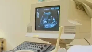 חיים בריא: 20.12.15