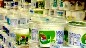 קוטג' דלק ושעון קיץ: מה הופך מחאה חברתית למוצלחת?