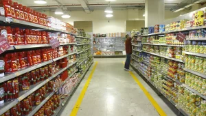 העולים החדשים: אילו מוצרים בסיסיים מתייקרים בעגלת הסופר?