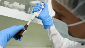 הכלאת בני אדם וחזירים