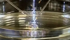 חיים בריא: תינוקות מבחנה בסיכון לסרטן