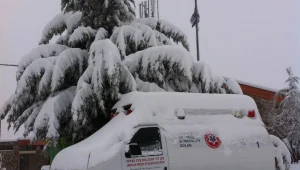 בעקבות השלג: ברמת הגולן יקיימו הערכת מצב לגבי הלימודים מחר