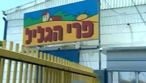 שתי כלכלות: נשבר שיא בגיוס הון בהייטק, מפעל "פרי גליל" ייסגר