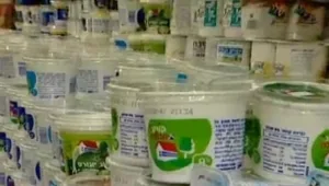 ועדת הכלכלה דנה במחאת הקוטג': "להחזיר את הפיקוח על המחירים"