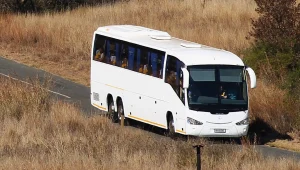 הצינור: האוטובוס שמשגע את הרשת