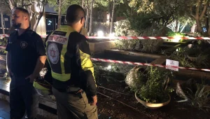 ארבעה צעירים התחשמלו בבריכת נוי בתל אביב - אחד נפצע אנוש