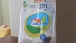 איך הגיע עכבר לשקית החלב של תנובה?