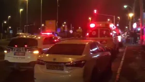 חיסולים ביפו ובקריית טבעון: בני 22 ו-60 נורו למוות