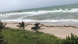 הישראלים שמתכוננים לסופה בפלורידה: "הרחובות ריקים, כולם בבתים"