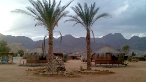 אורלי וגיא: למרות האיומים הישראלים לא מוותרים על סיני