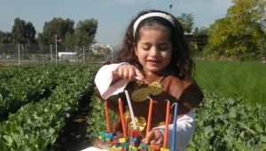 הקרב על חופשת חנוכה: ההורים דורשים לקיים לימודים, המורים נגד