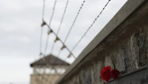 הצינור 30.08.15