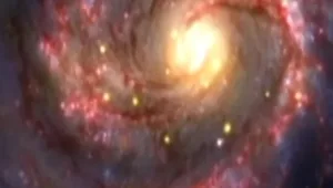 צאו מהקופסא: בירה על הבר או מוזיאון עם הילדים?