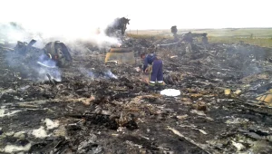 מטוס נוסעים מלזי יורט באוקראינה, 295 נהרגו