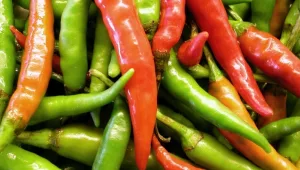 בלי דיאטה: צמחי המרפא שיעזרו לכם לרזות