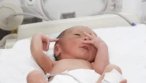 חיים בריא 13.11.16