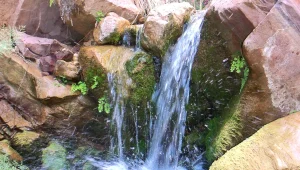 בשיא עונת הטיולים: אזהרה כניסה לנחלים בגולן ובגליל בשל זיהום