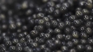 קוויאר יקר • מיליון שקלים לק"ג