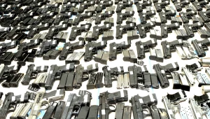 סנאטורית מארה"ב נגד כלי נשק וירטואלים