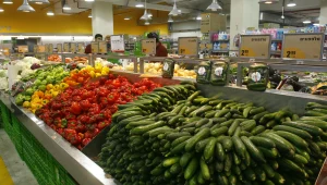 חיים בריא: איזה ירק מכיל אנטיביוטיקה טבעית?