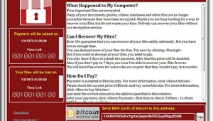 בישראל נערכים למתקפת הסייבר העולמית: כך תתגוננו מפני המתקפה