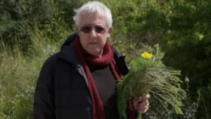 איך נראה שומר הבר?